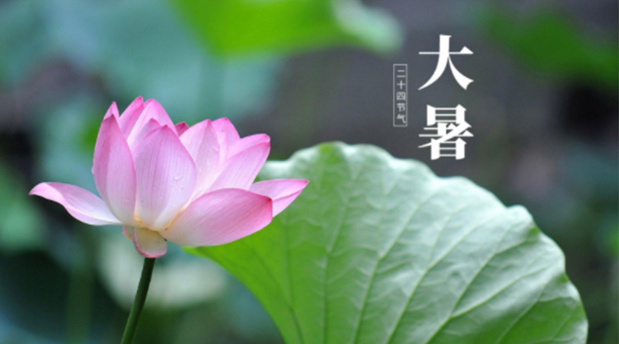 大暑時節(jié)！金環(huán)電器提醒大家注意這些干衣細(xì)節(jié)