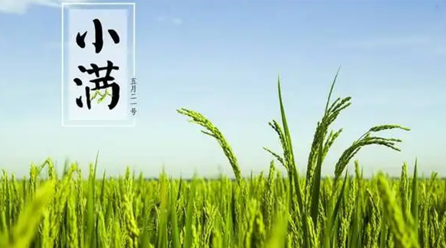 小滿時節(jié)！金環(huán)電器提醒大家要注意的事項