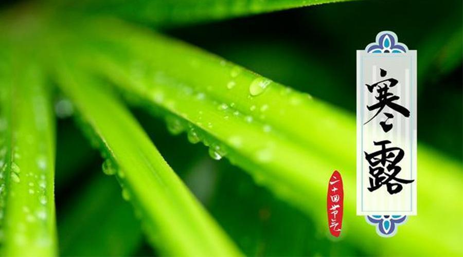 寒露時節(jié)到！金環(huán)電器提醒這些干衣事項要注意