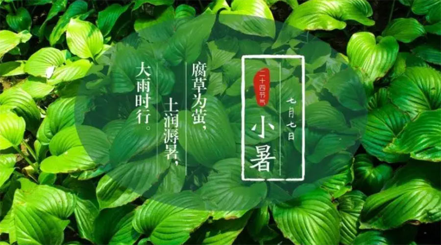 小暑時(shí)節(jié)來到！金環(huán)電器提醒大家要注意的事項(xiàng)
