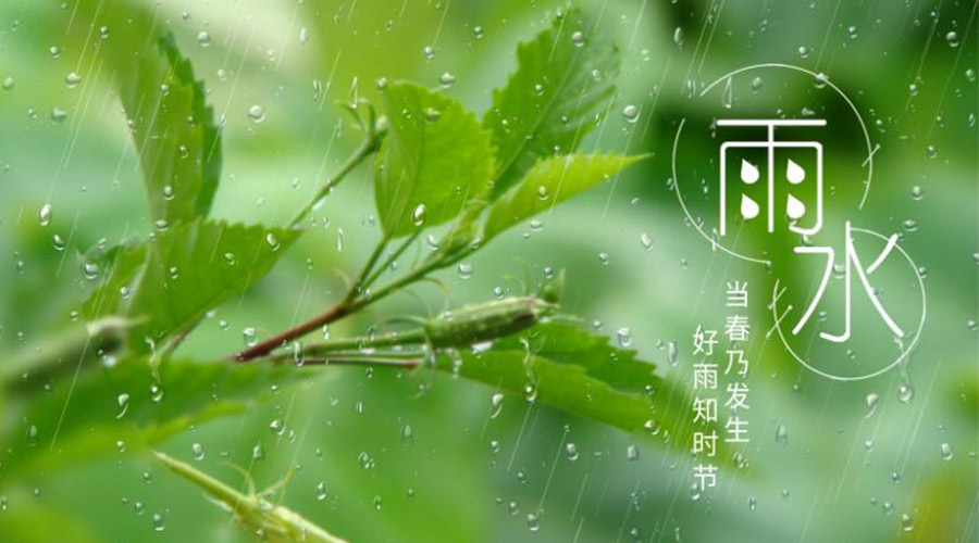 雨水時(shí)節(jié)！金環(huán)電器提醒大家要注意的事項(xiàng)